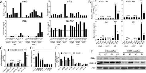 Profiling Of Cytokines In The Supernatants From Mc Bbc And Ko Cells