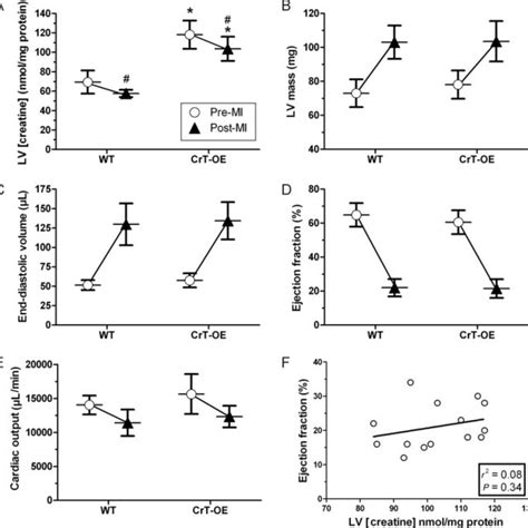 Creatine levels and creatine kinase activity in cells cultured with and ...