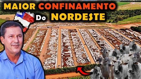 A MAIOR FAZENDA DE CONFINAMENTO DE GADO DO NORDESTE YouTube