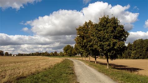 Free Image Village Path Through The Fields Libreshot Public Domain