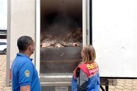 Fiscaliza O Apreende Mais De Toneladas De Pescado Irregular No