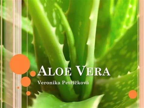 Ppt Aloe Vera Powerpoint Presentation Free Download Id 5407216