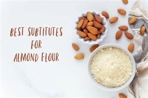 The Best Almond Flour Substitutes For Any Occasion The Coconut Mama