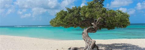 THE TOP 15 Things To Do In Aruba UPDATED 2024 Attractions Activities