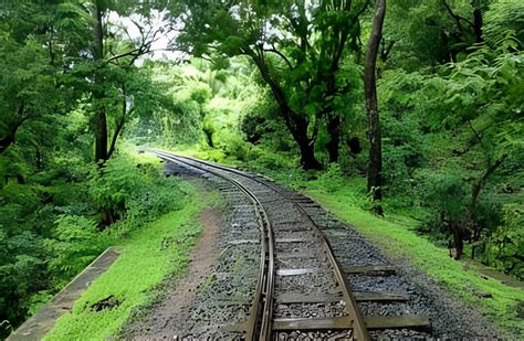 Sanjay Gandhi National Park Mumbai: Tickets, Entry Fees and Timings ...