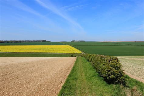 Séance dinformation sur la plantation de haies en zone agricole