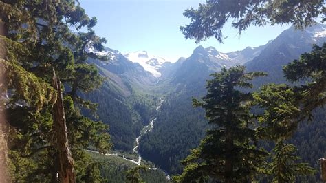 Hoh River Trail, Olympic National Park, Washington, USA : r/hiking