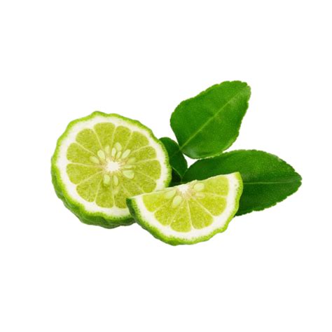 Kaffir Lime Essential Oil Latelier A Bali