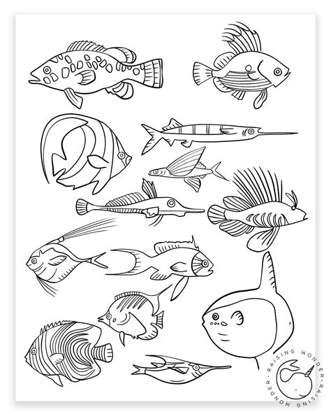 Fish Theme Coloring Pages