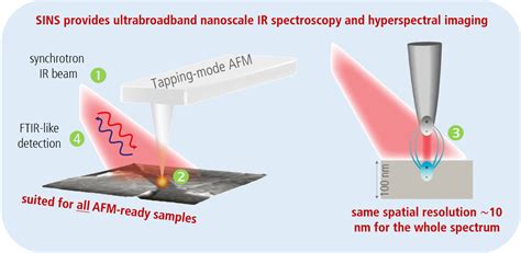 Synchrotron Infrared Nano Spectroscopy