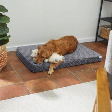 Best Dog Orthopedic Beds: Flat or Bolstered (Free Shipping) | Chewy