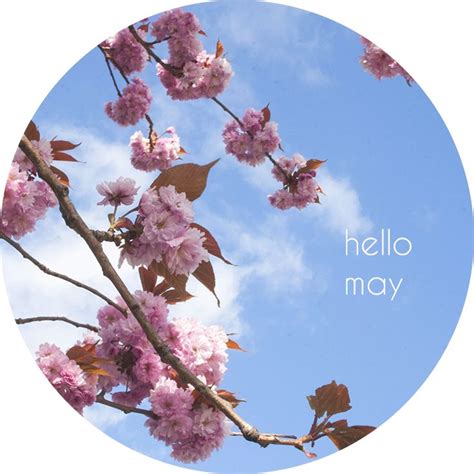 Hello May quotes quote may may quotes hello may | Hello may, Hello may ...