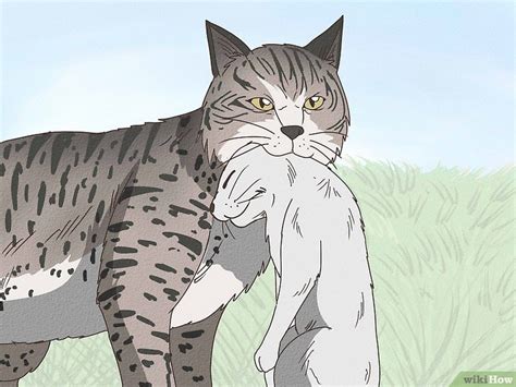 How to Tell if Your Cat Is Mixed with Bobcat: Signs to Look For