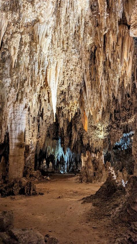 Are Dogs Allowed At Carlsbad Caverns