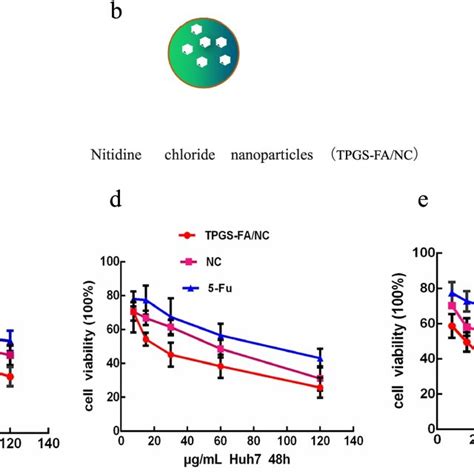 The Effect Of Tpgs Fanc On Huh7 Cell Proliferation A Chemical