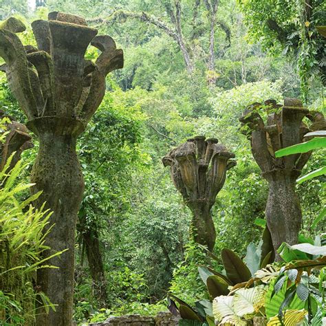 Ogród Las Pozas w środku meksykańskiej dżungli Seezon PL