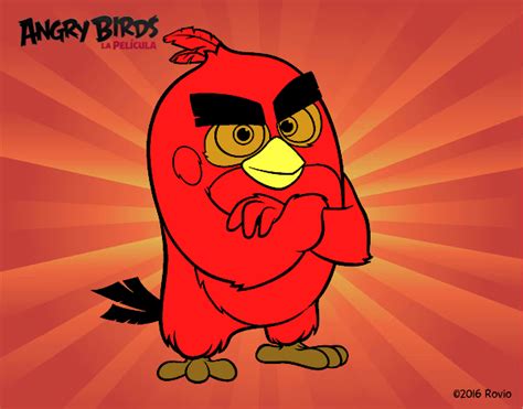 Dibujo De Red De Angry Birds Pintado Por En El Día 16 05 16