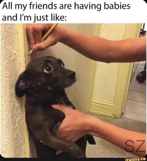 Quality Interaction Does Watching Gay Porn Make You Gay Ifunny