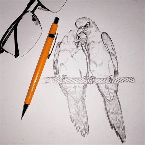 Love Bird Pencil Drawing