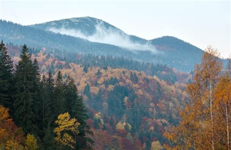 Premium Photo Autumn Carpathians Ukraine