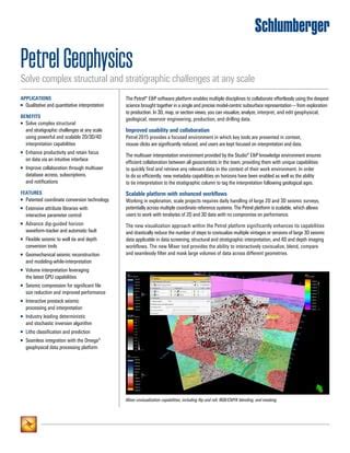 15 IS 0196 Petrel Geophysics Pdf