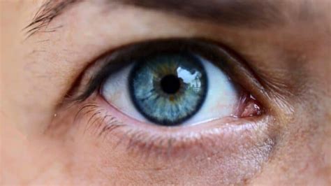 Everything You Need to Know About the Cornea Function