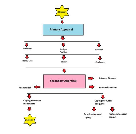 Diagram Of Stress Lazarus Folkmam Transactional Model Of Stress And Coping Quizlet