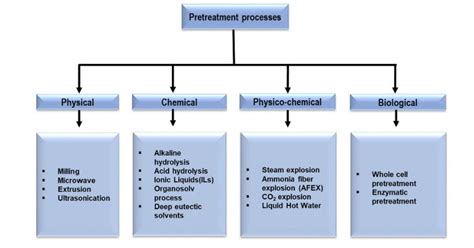 Flow Chart Diagram Of Pretreatment Processes 28 Download Scientific