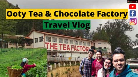 Ooty Tea And Chocolate Factory । This Is How Tea And Chocolates Are Made