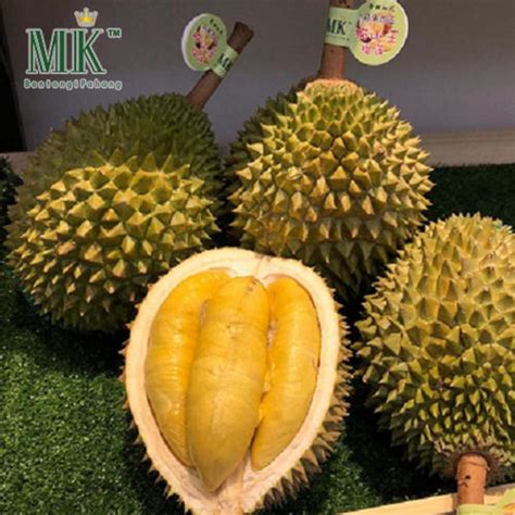 Mk Musang King Durian Fresh Highland Old Tree Mao Shan Wang Msw