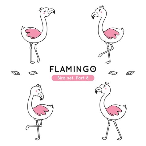 Conjunto De Flamingos Doodle Em V Rias Poses Isolados Vetor Premium