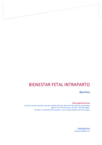 Duelo Perinatal Pdf