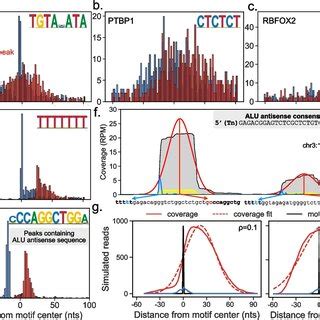 Enrichment Of Known And De Novo Sequence Motifs In The ECLIP Data Of