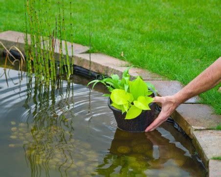 Panier à plantes aquatiques Ubbink Ø 21 x 13 cm Bassins de jardin