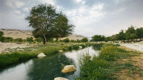 Wadi Chic Discover Saudis Gems With Your Graceful Ladies