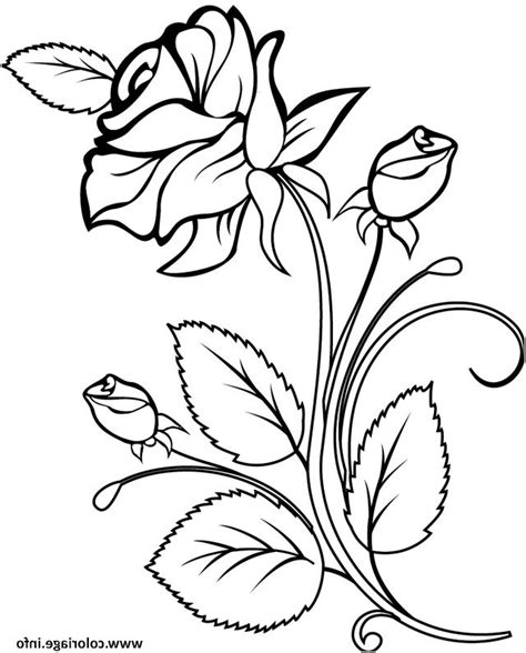 Lunatique Coloriage Rose Et Coeur Pics Coloriage Rose Coloriage