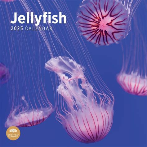 2025 Hawaii Jellyfish Calendar Flossi Kaitlyn