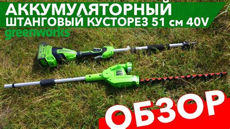 Обзор на штанговый кусторез 51 см Greenworks 40V G40PHA - YouTube