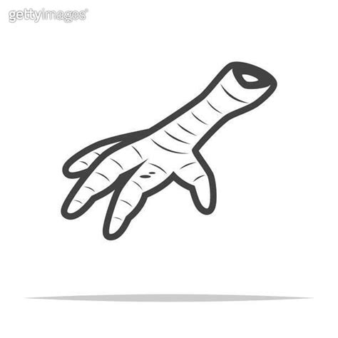 Raw Chicken Feet Outline Icon Vector Isolated 이미지 1622113874 게티이미지뱅크