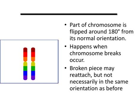 PPT - GENETIC DISORDERS PowerPoint Presentation, free download - ID:2170910 