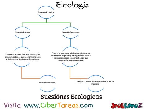 La Ecologia Sucesiones Cibertareas