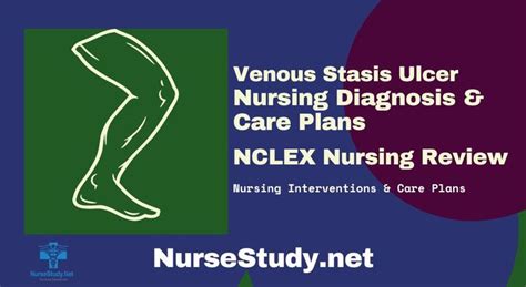 Venous Stasis Ulcer Nursing Diagnosis And Nursing Care Plan