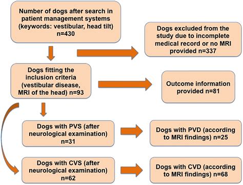 Can Dogs Die From Vestibular Disease