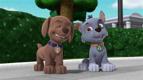 Aren't they so cute when they laugh and talk to each other. As rare as ...