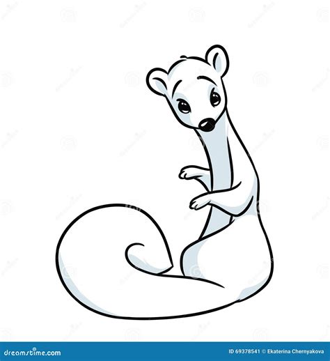 White Ermine Cartoon Illustration Stock Illustration Illustration Of