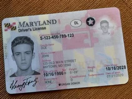 Maryland Fake ID Stealth Documents