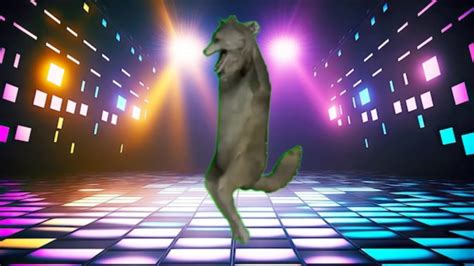 Komm Tanzen Ich Will Nicht Dancing Wolf Edition YouTube