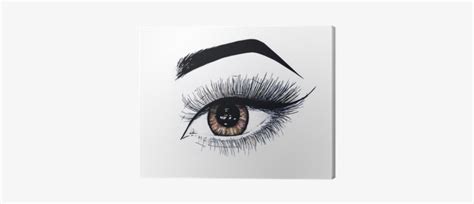Beautiful Open Female Eye With Long Eyelashes Is Isolated Eyes