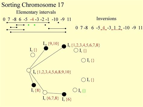 Conservation Of Combinatorial Structures In Evolution Scenarios Ppt