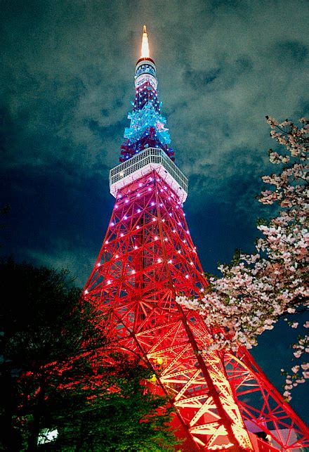 日本东京铁塔夜景。真美。 堆糖，美图壁纸兴趣社区